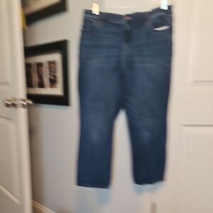 Talbots Indigo Denim Jeans